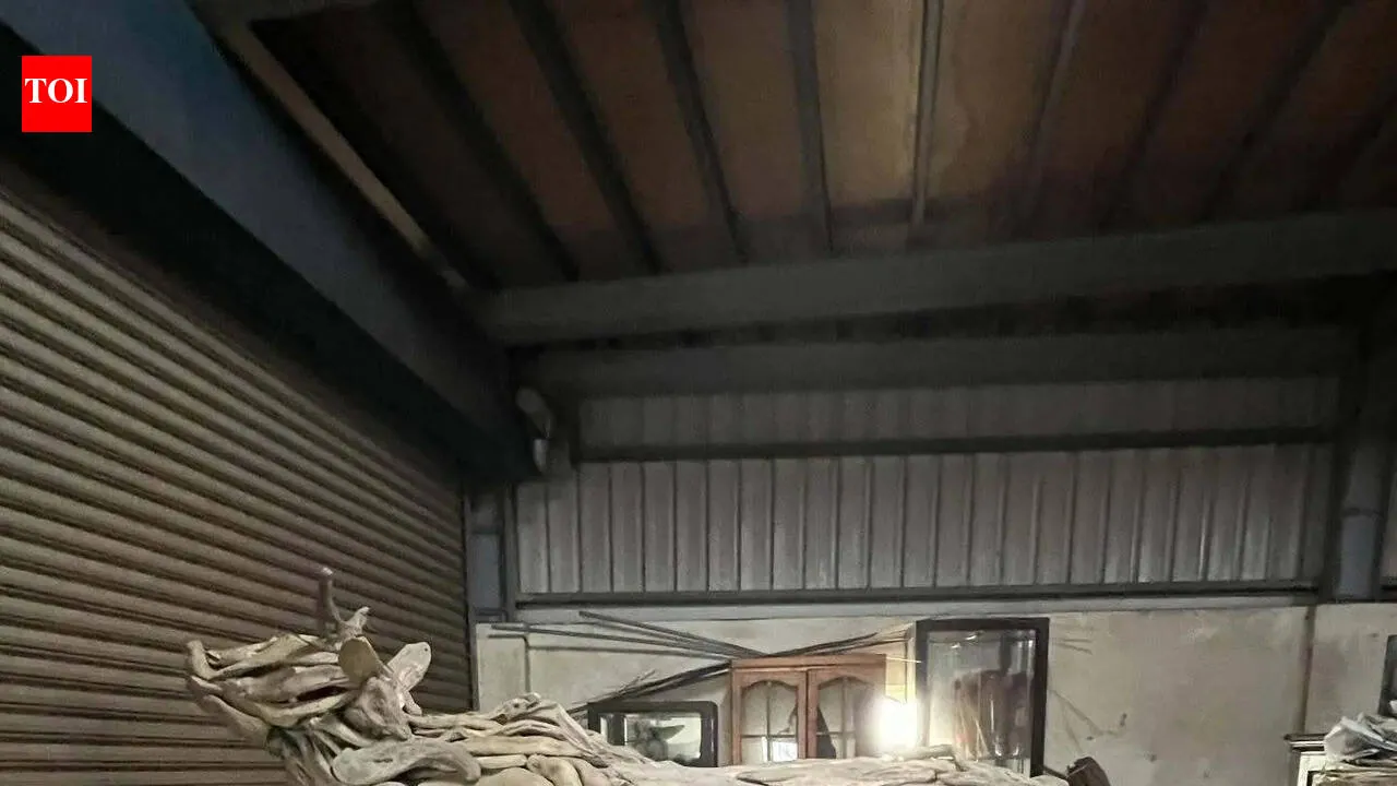 A Taiwanese artist sculpted his late dog using the driftwood they collected over the years together