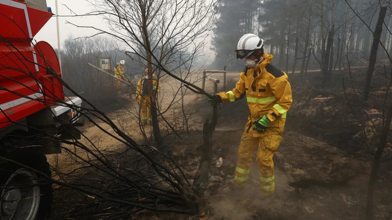 Belgian wildfire doubles in size on third day tearing through nature reserve