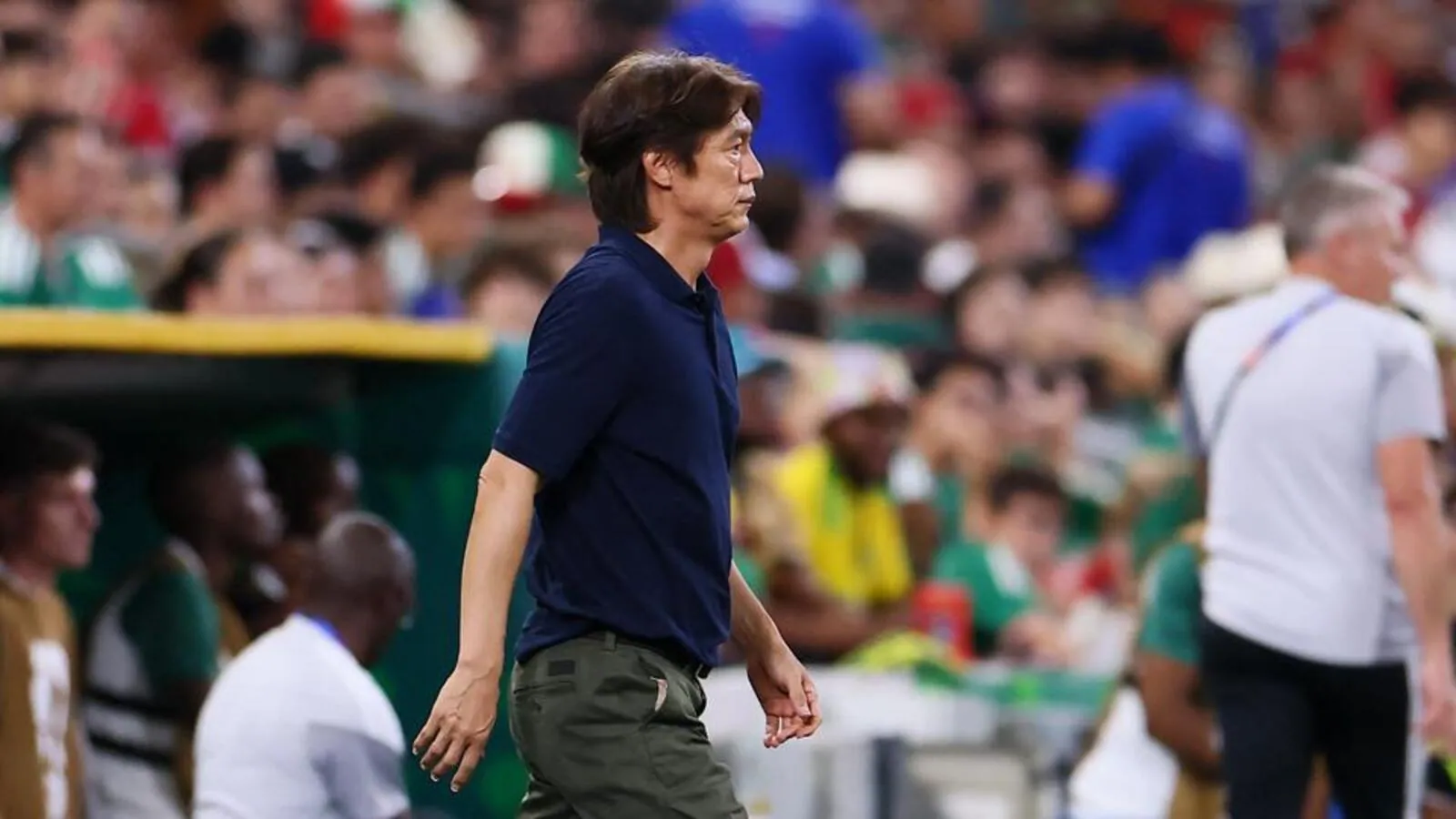 Japan may have reached a glass ceiling: Simon Chadwick